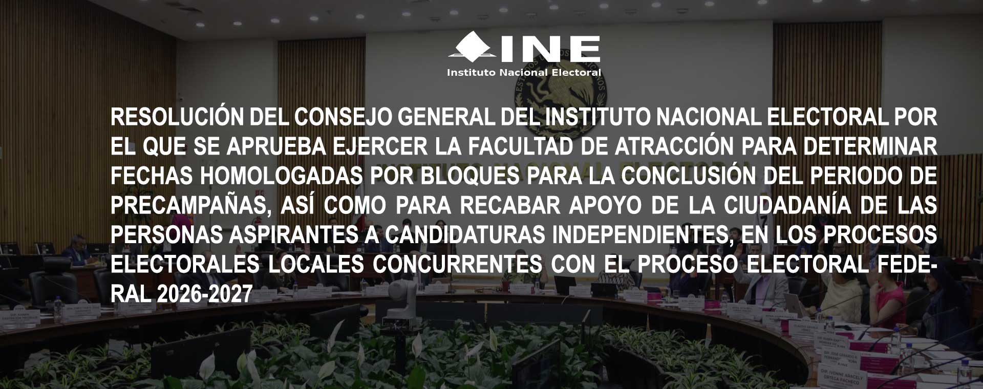 RESOLUCIÓN DEL CONSEJO GENERAL DEL INSTITUTO NACIONAL ELECTORAL